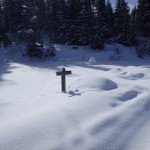 Snow on Trail