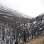 West Boulder Trail in Winter