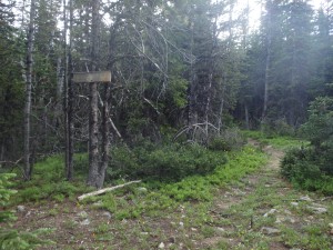 Trail to Crow Lake