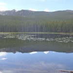 Lower Basin Creek Lake
