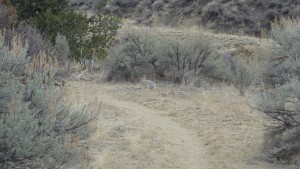 Weatherman Draw Trail