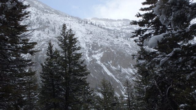 Meyers Creek Trail- Beartooth Mountains | MTHikes.com