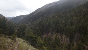 Scenery Along Meyers Creek Trail