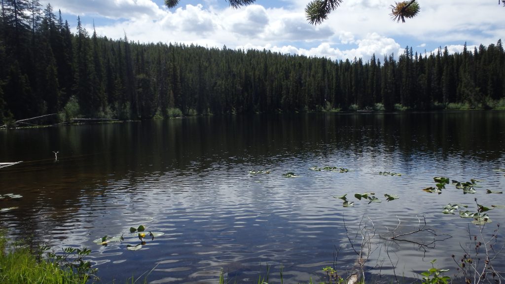 Margaret Lake