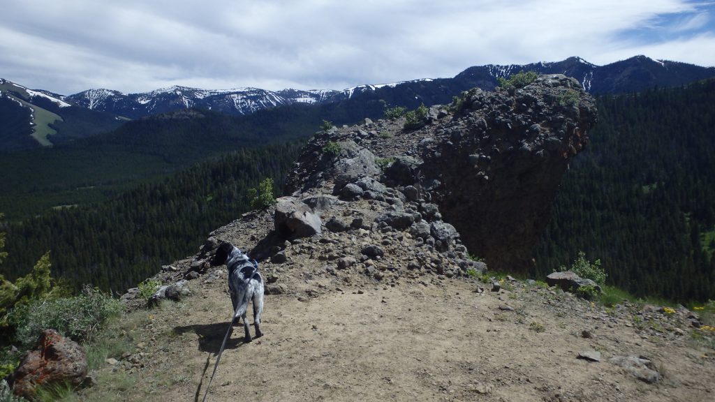 Gallatin Petrified Forest Interpretive Trail Gallatin Range
