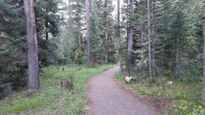 Langohr Creekside Trail