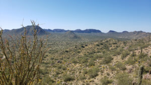 View From the Top of Goldmine Trail